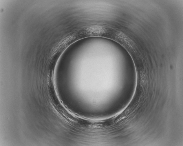 X0000060760451200511141235