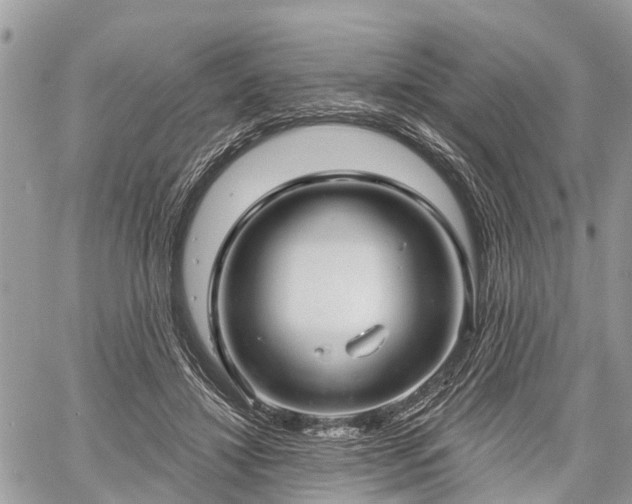 X0000060760452200511141235