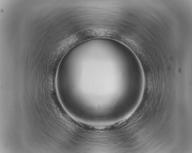 X0000060760453200511141235