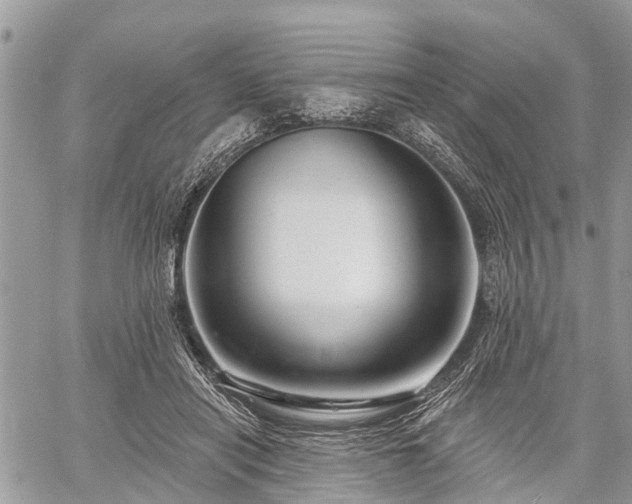 X0000060760454200511141235