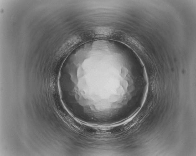 X0000060760455200511141235