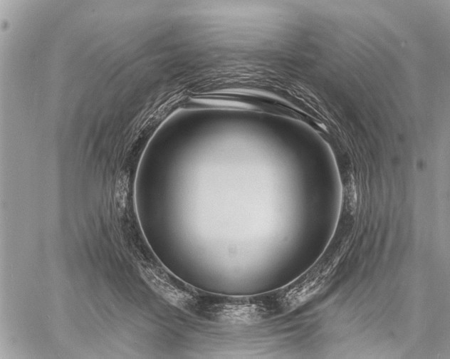 X0000060760458200511141235