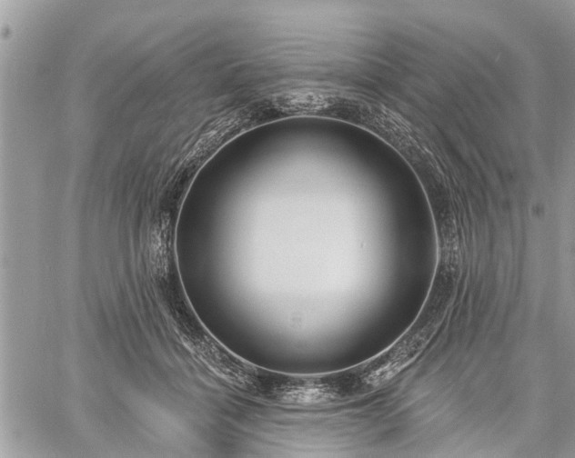 X0000060760460200511141235