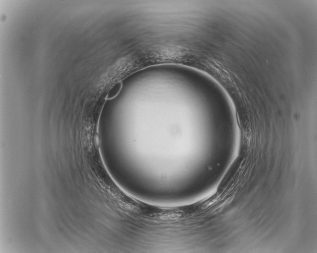 X0000060760462200511141236