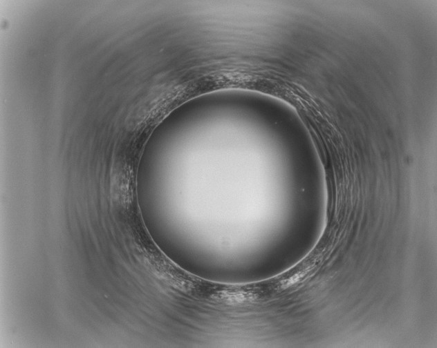 X0000060760464200511141236