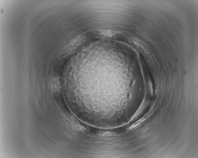 X0000060760467200511141236