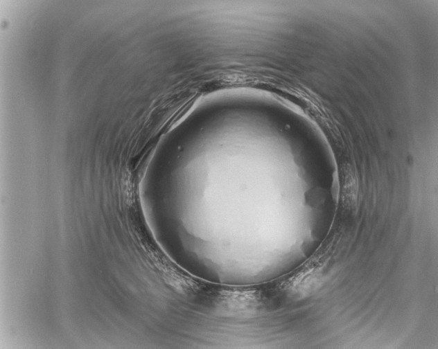 X0000060760469200511141236