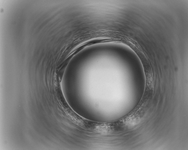 X0000060760470200511141236