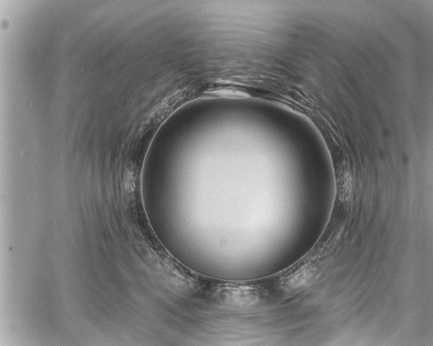 X0000060760472200511141236