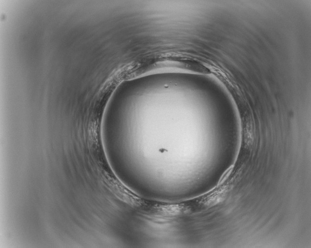 X0000060760473200511141236