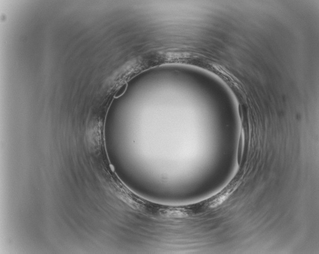 X0000060760475200511141236