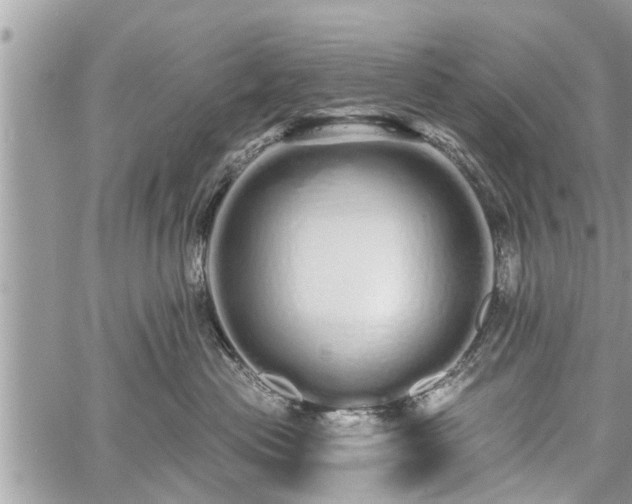 X0000060760477200511141236