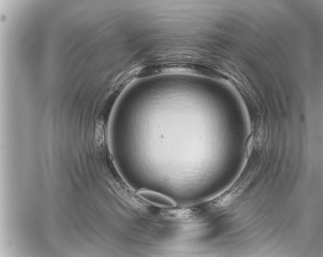 X0000060760478200511141236