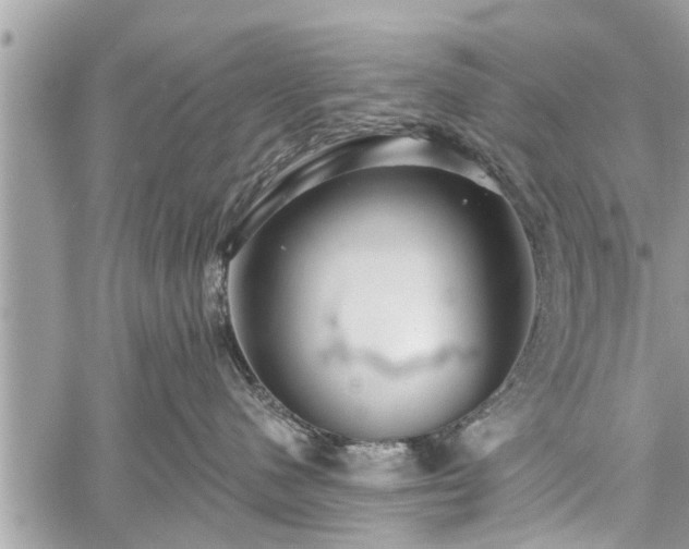 X0000060760480200511141236