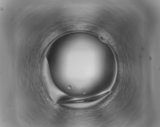 X0000060760481200511141235