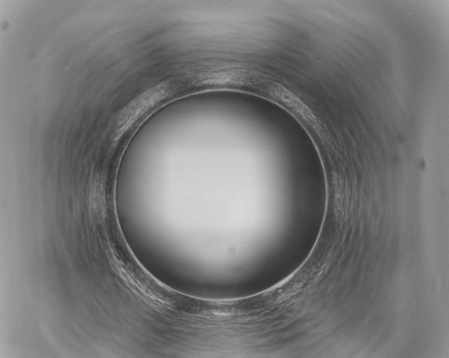 X0000060760482200511141235