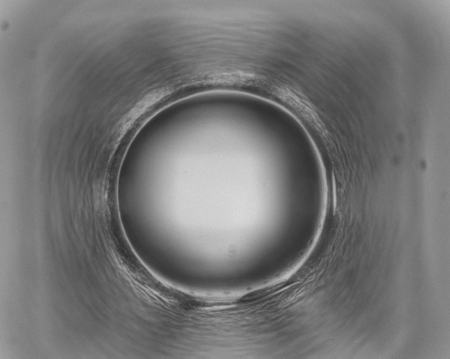 X0000060760483200511141235