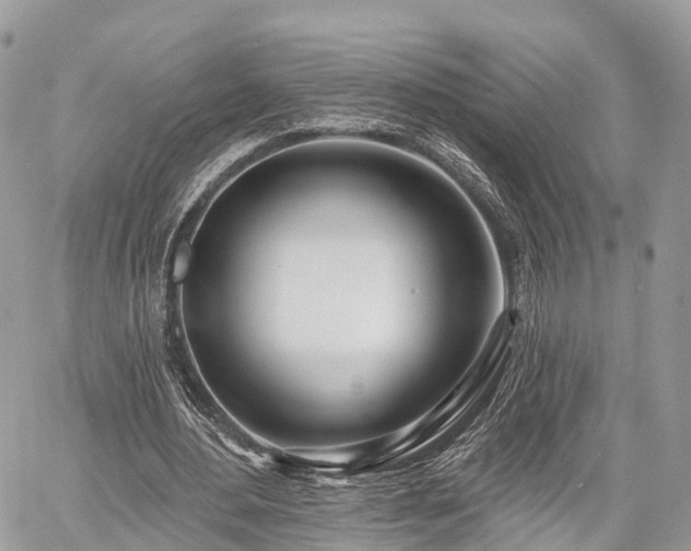 X0000060760484200511141235