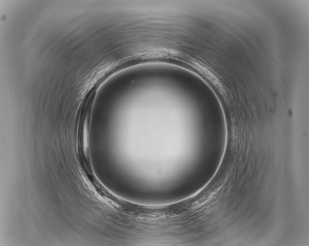 X0000060760485200511141235