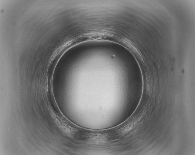 X0000060760486200511141235