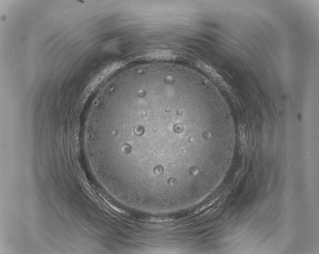 X0000060760487200511141235