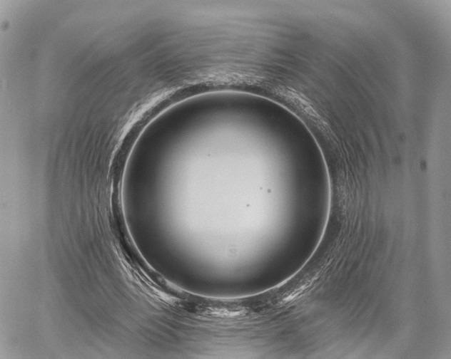 X0000060760488200511141235