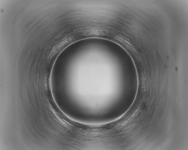 X0000060760489200511141235