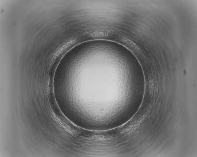 X0000060760490200511141235