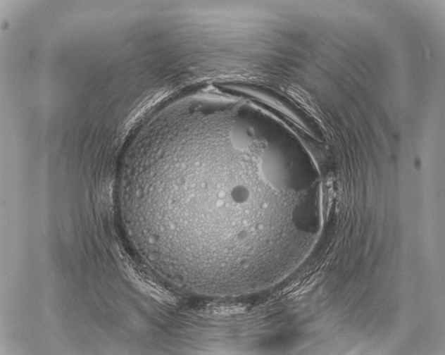 X0000060760491200511141235