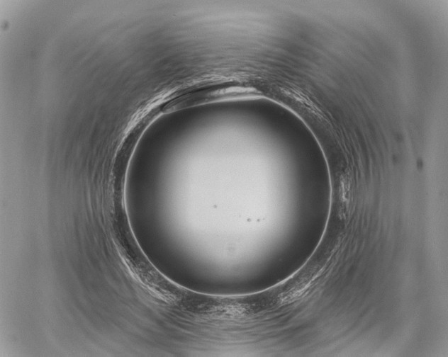 X0000060760492200511141235