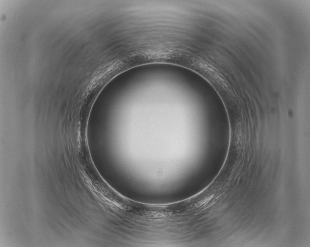 X0000060760494200511141235