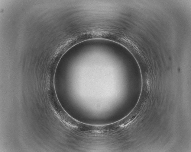 X0000060760496200511141235