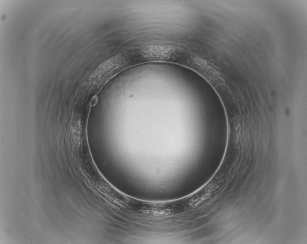 X0000060760498200511141235