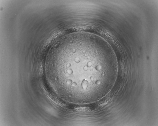 X0000060760499200511141235