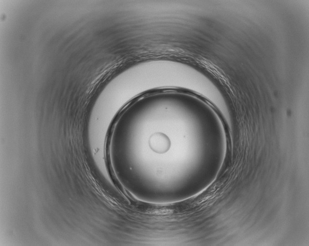 X0000060760501200511141235