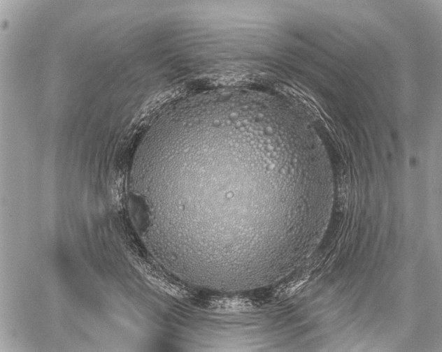 X0000060760503200511141235