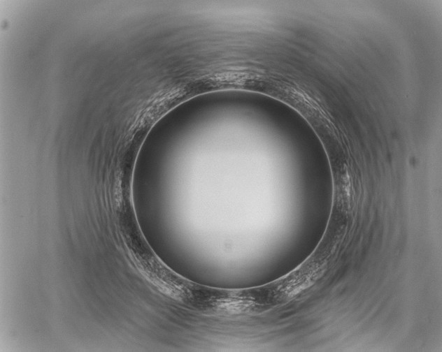 X0000060760504200511141235