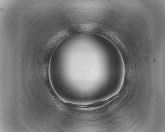 X0000060760505200511141235