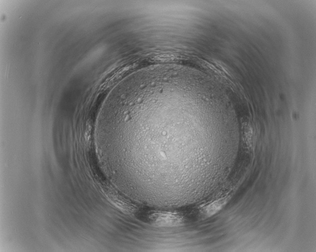 X0000060760507200511141235