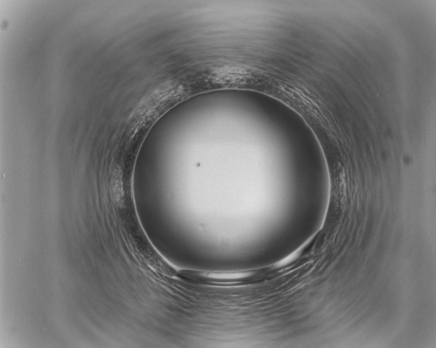 X0000060760508200511141235