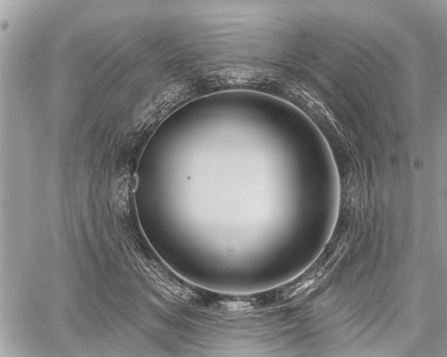 X0000060760509200511141235