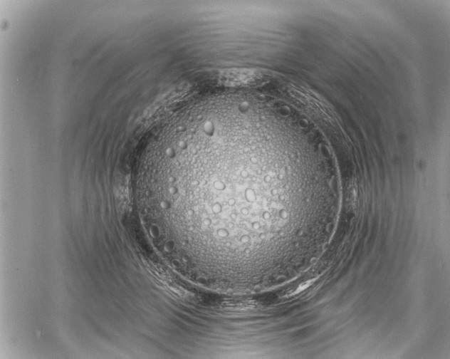 X0000060760510200511141235