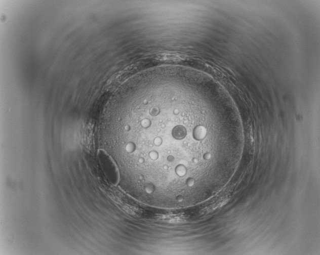 X0000060760511200511141234