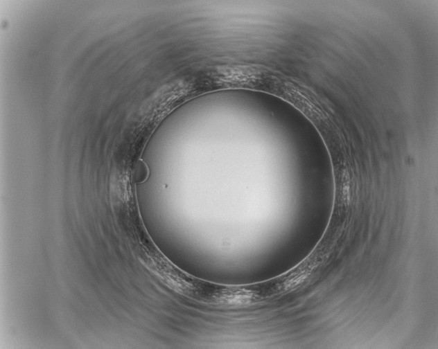 X0000060760514200511141234