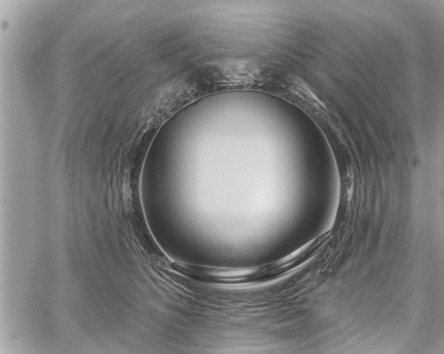 X0000060760516200511141234