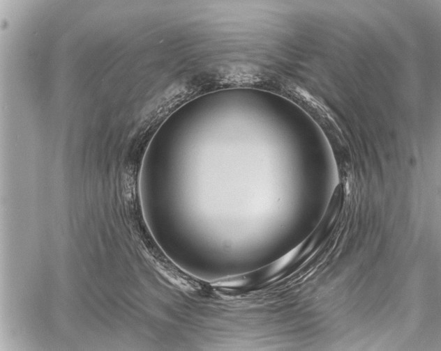 X0000060760517200511141234