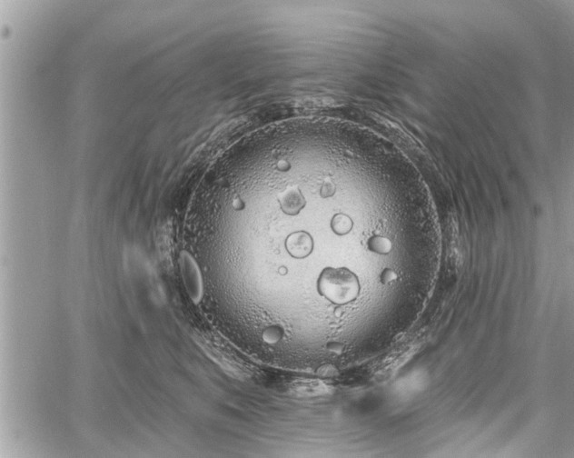 X0000060760519200511141234