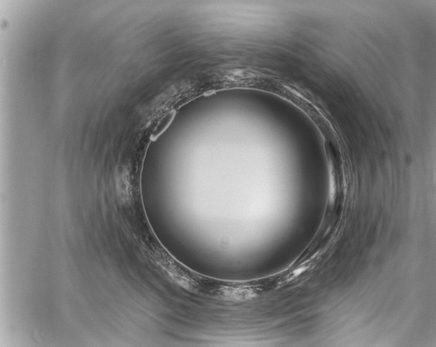 X0000060760520200511141234