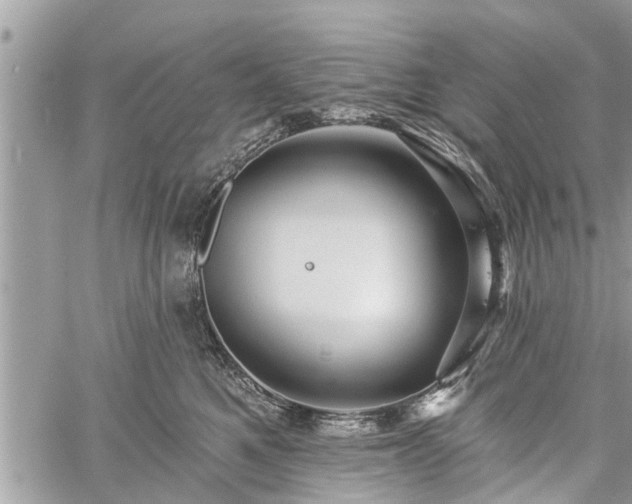 X0000060760521200511141234