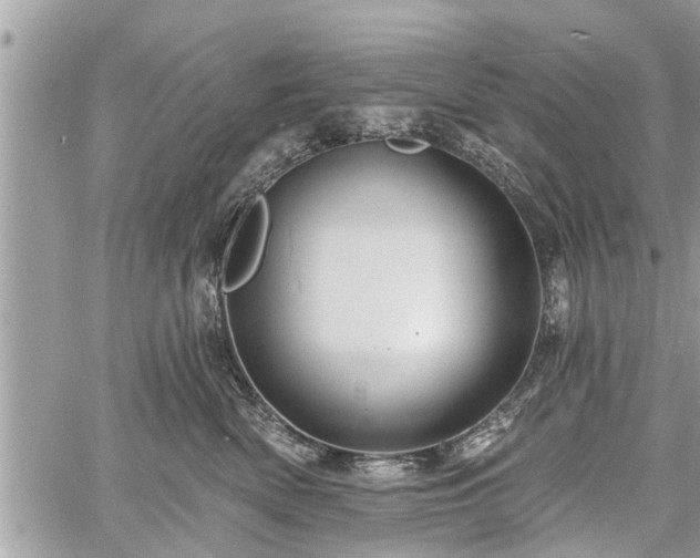 X0000060760522200511141234